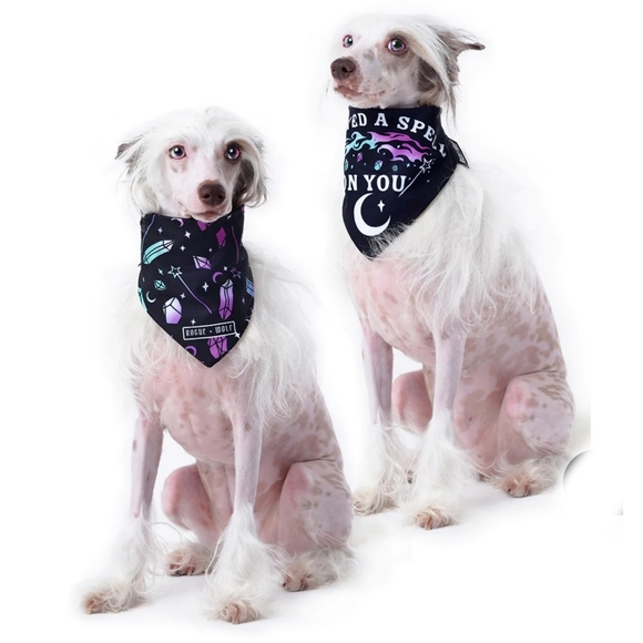 🆕️🆑️ ROGUE +WOLF Pet Bandana I Pawed A Spell On You Black Adjustable Snaps - Picture 4 of 14